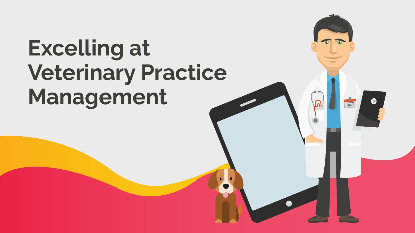 What is Veterinary Practice Management and how to excel at it ?